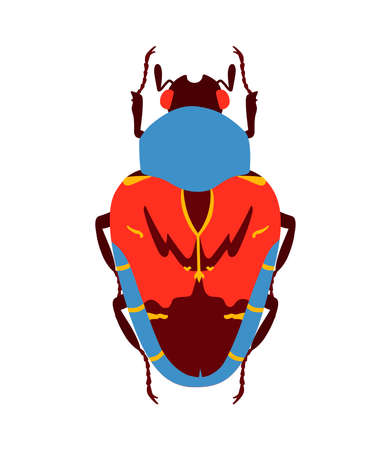Blue and red flat beetle. Isolated on white background.のイラスト素材