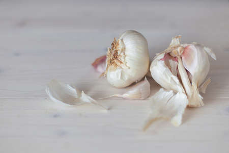 garlicの写真素材