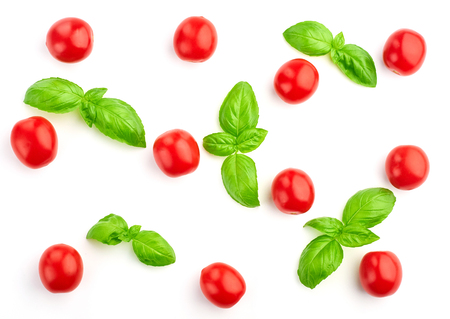tomatoes and basil leaves on a white backgroundの写真素材