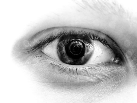 The human eye Photographer focus lens focusing pupilの写真素材