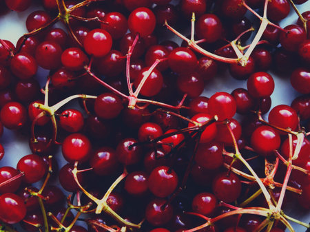 Red viburnum on a table berry food season autumn vitamins benefit