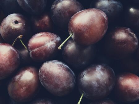 Juicy plum on the table season autumn harvest berry fruit food tasty appetite vitamins benefit nutrition background garden september octoberの写真素材