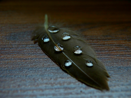 Drops of water on the pen macro closeup objectの写真素材