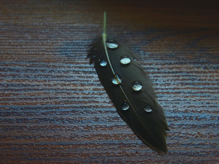 Drops of water on the pen macro closeup objectの写真素材