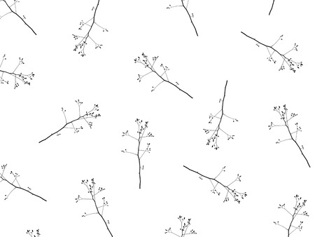 Sprig of tree on a white background nature minimalism black white isolate wallpaper texture patternの写真素材