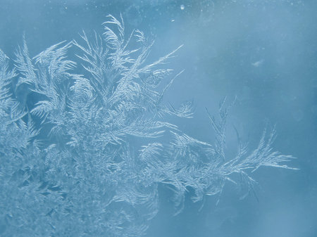 Patterns on glass nature frost winter cold drawings cristmas ice