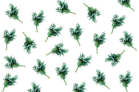Fresh branches of a juniper nature background wallpaper needlesの写真素材