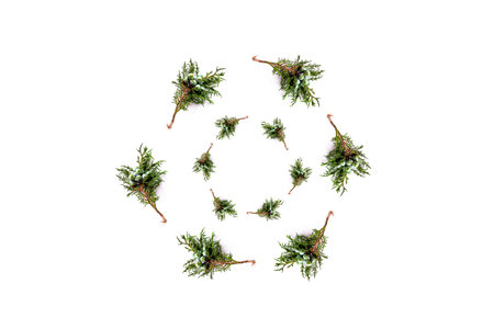 Fresh branches of a juniper nature background wallpaper needles pattern circle