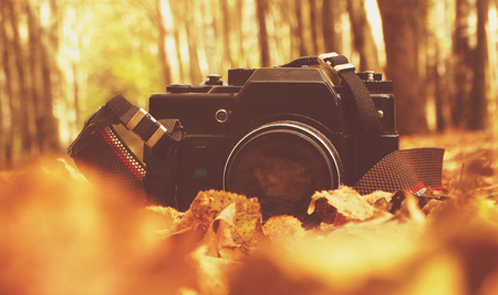 The old camera in the woods autumn seasons september october recreation vintage retro style fashion film background wallpaper 70s 80s 90sの写真素材