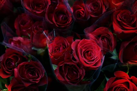 Beautiful bouquet of red roses as a gift love style spring bloom season beautiful love romantic smell flowerの写真素材