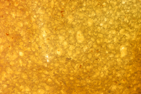 toast bread in a cut close-up