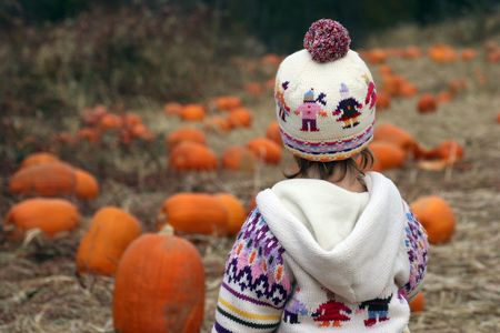  looking over her choices at a pumpkin patchの写真素材