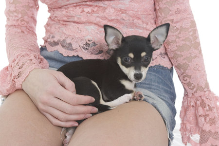  Chewawwaの写真素材