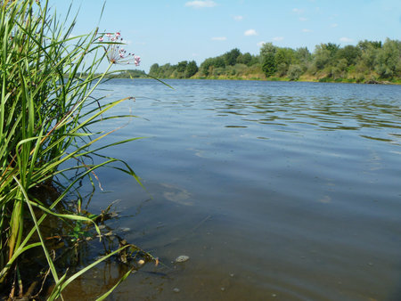 Water landscape