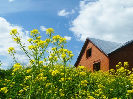 Spring landscape on datchaの写真素材