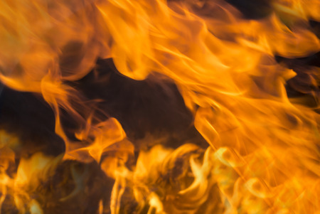 Campfire on dark backgroundの写真素材