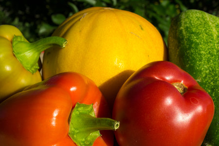 Background from bright natural fruitの写真素材