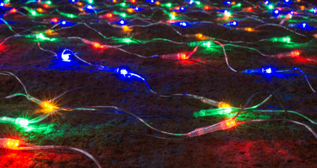 Festoon of the colour lights on dark background close-up
