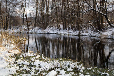 Landscape with small river in winter wood with tree in Russiaの写真素材