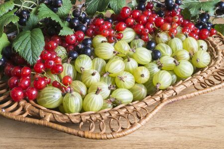 Ripe berries of the gooseberry and currants in plate on wooden tableの写真素材