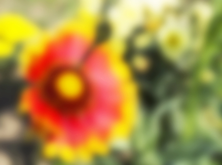 Bright and beautiful abstract background from coloursの写真素材