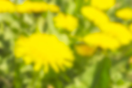 Bright and beautiful abstract background from coloursの写真素材