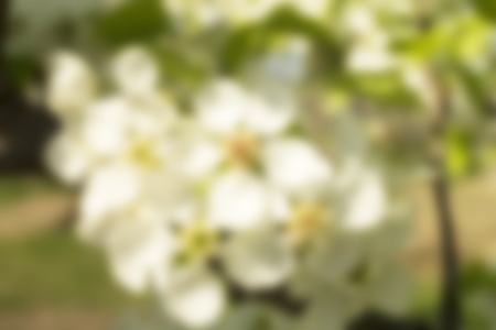 Bright and beautiful abstract background from coloursの写真素材