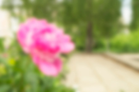 Abstract and beautiful background from bright colours with soft focusの写真素材