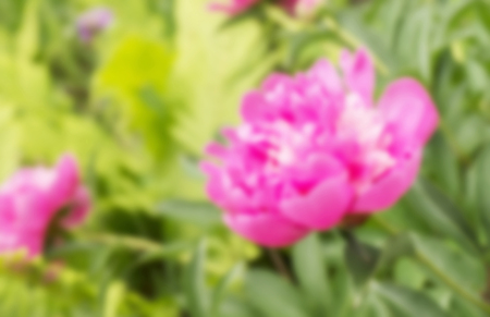 Abstract and beautiful background from bright colours with soft focusの写真素材