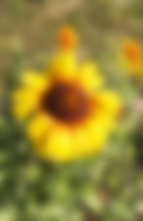 Abstract and beautiful background from bright colours with soft focusの写真素材