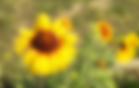 Abstract and beautiful background from bright colours with soft focusの写真素材