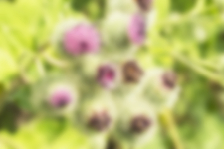 Natural beautiful background from bright colour with soft focusの写真素材