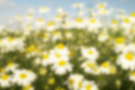 Natural beautiful background from bright colour with soft focusの写真素材