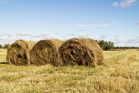 Autumn landscape in rural terrain on background blue skyの写真素材