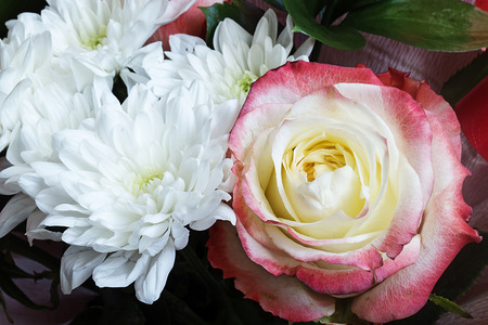 Beautiful festive bouquet from colour with rose and white chrysanthemumの写真素材