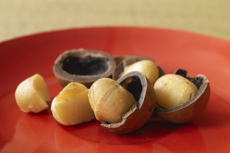 The Nut in shell rests upon red plate.Natural fruit close-up on table for feedingの写真素材