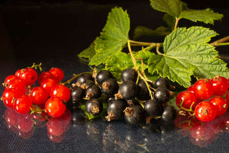 Flowering heads green pommel on black background. The Round flower rests upon table with reflection.の写真素材