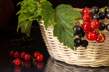 Red and blackenning currant with green sheet on table with reflection. Ripe berries on black backgroundの写真素材