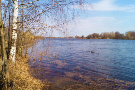 Spring landscape in the countryside. River in a wooded area against a blue sky