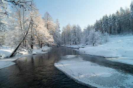 Landscape with a river in a winter forest in Russia. Beauty in nature on a sunny dayの写真素材
