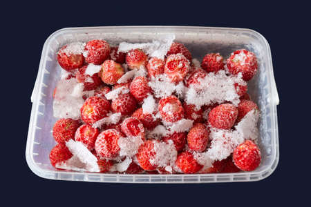 Frozen strawberries in a plastic container. Beautiful food backgroundの写真素材