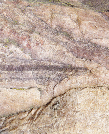 Wild stone background. Beauty is in nature. Texture of natural wild brick