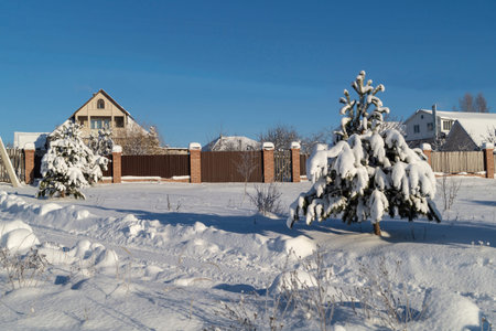 Cottage in a pine forest in winter. Beautiful landscape against the blue skyの写真素材