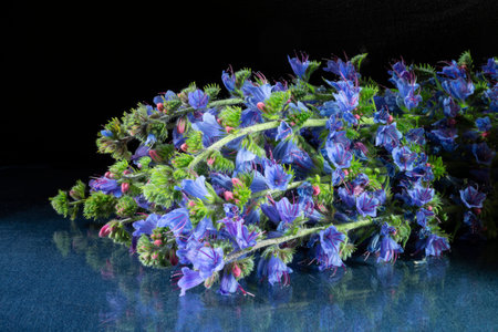 A bouquet of wildflowers is an ordinary bruise. Beauty in nature in the summer season.