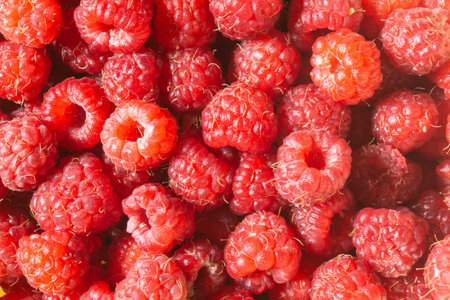 Natural background of red berries. horizontal photo. summer harvest