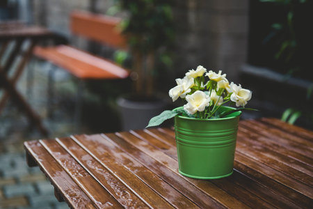 Small green flowerpot with yellow flowers on a wooden table wet by the rain on the street.