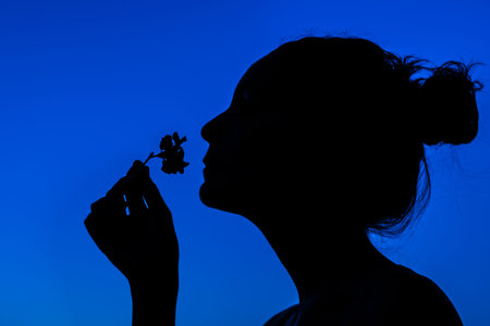 silhouette of a girl with her hair up, smelling a flower on a blue backgroundの写真素材