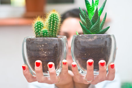 closeup of cute mini cactus pots held by the hands of a smiling young woman in the background....