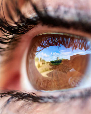 Macro photograph of the brown eye of a young pretty woman with long eyelashes. reflections in the pupil of the eyeの写真素材