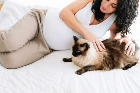 Smiling pregnant young woman lying on the bed stroking her cat. concept pregnancy and petsの写真素材